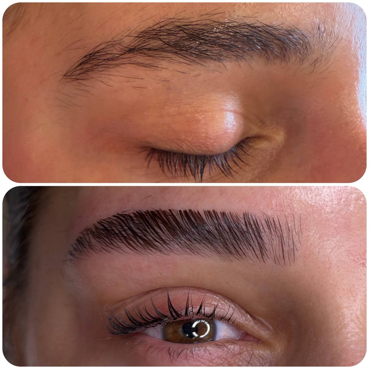 Brow Lamination